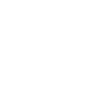 DATA ORCHESTRATOR